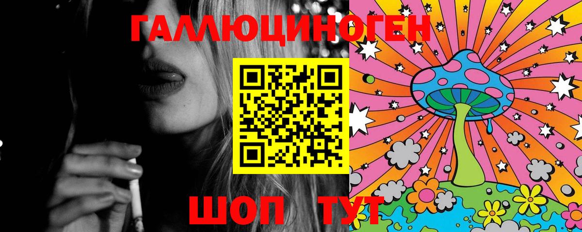 Галлюциногенные грибы Psilocybine cubensis Мичуринск